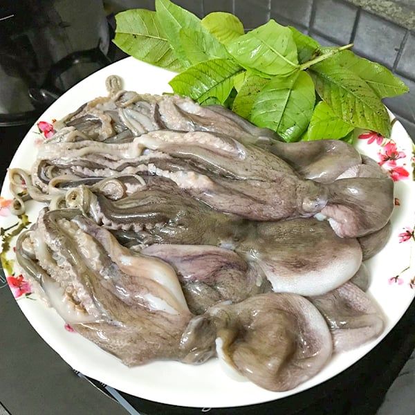  Bạch Tuộc Mi Nơ (Con Ruốc Biển) 