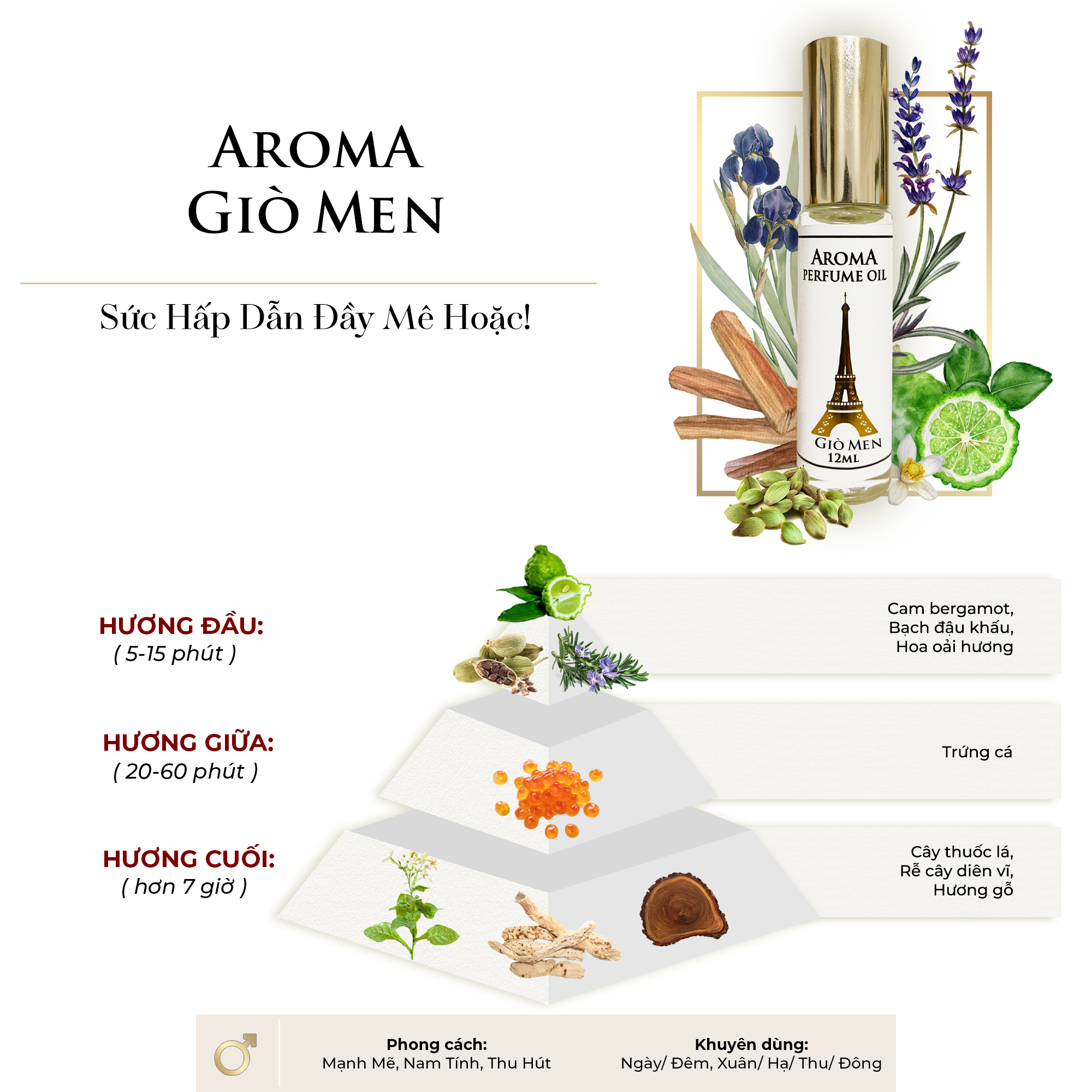 Aroma Gio M – Tinh dầu nước hoa Pháp Nam