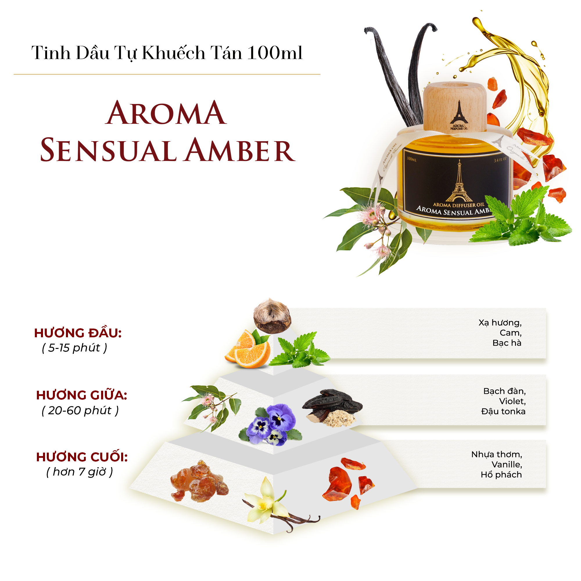 Sensual Amber - Tinh Dầu Thơm Phòng Que Gỗ, Nước Hoa Khuếch Tán Thiên Nhiên 100ml Cao Cấp, Sang Trọng