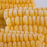 Frozen cut corn IQF