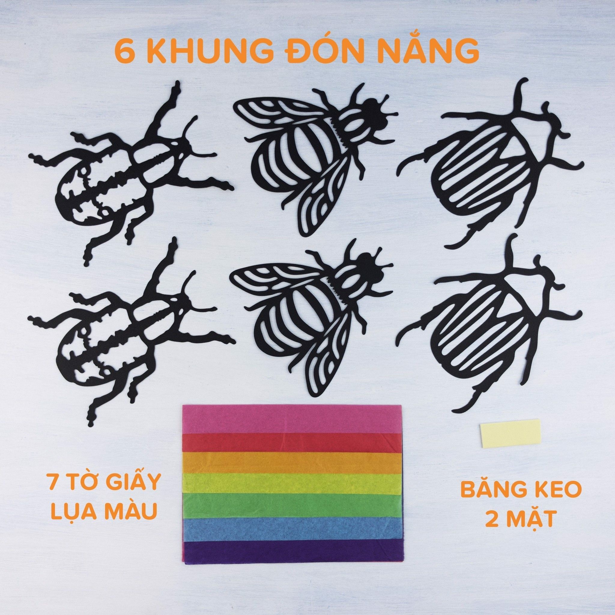 Bộ Đón nắng Bọ cánh cứng - Đồ chơi thủ công mỹ thuật TEDU