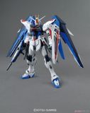 MG 1/100 FREEDOM GUNDAM Ver.2.0