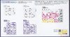 SD CS Cross Silhouette Gundam Build Metaverse F Kunoichi / Gundam F91 Kai