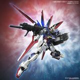 RG 1/144 Force Impulse Gundam Spec 2