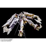 RG GUNDAM ASTRAY GOLD FRAME AMATSU HANA