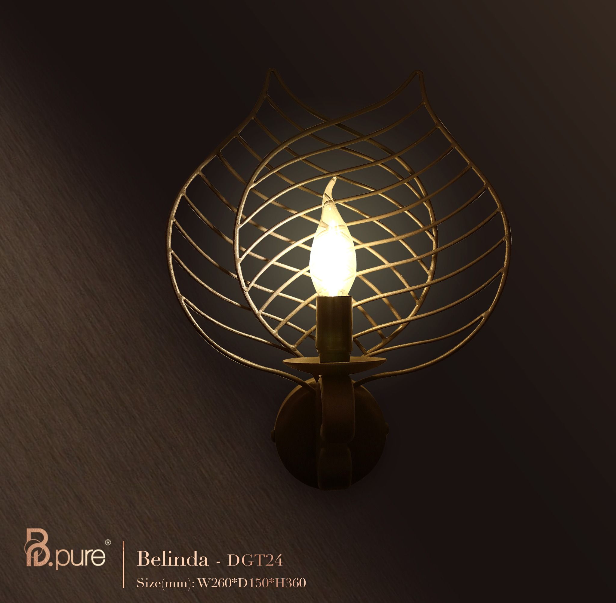 Đèn ốp tường Belinda DGT24