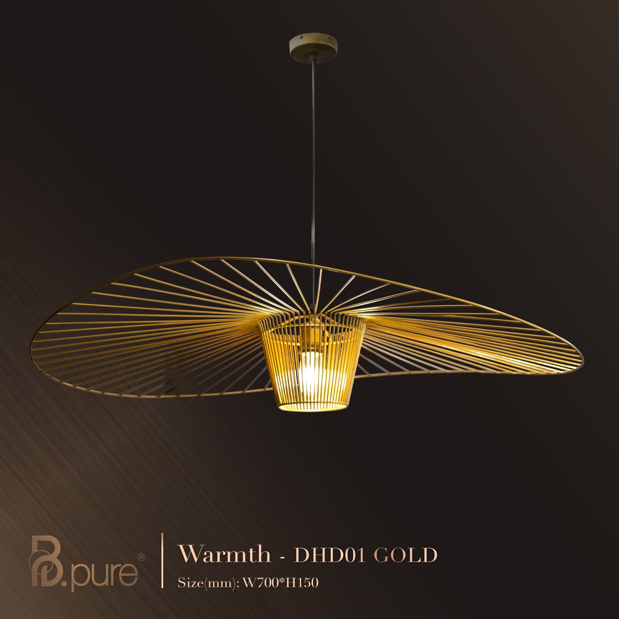 Đèn Thả Hiện Đại WARMTH DHD01
