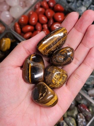 Tumbled Tiger's Eye (gr) Viên đá Đá Mắt Hổ