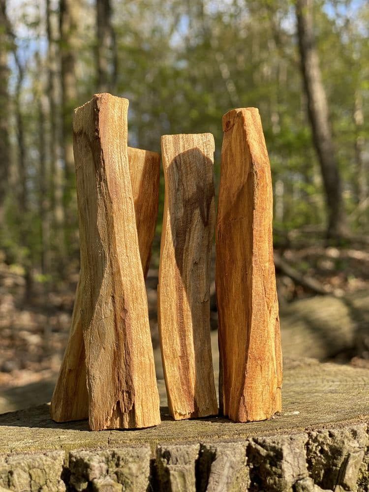 Thanh Palo Santo (gr) Gỗ Trắc Xanh