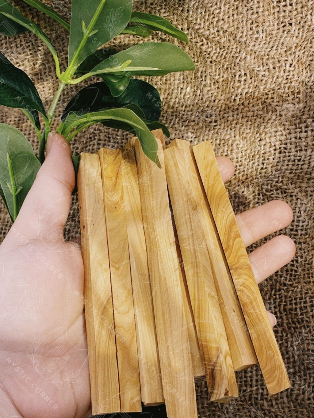 Gỗ đàn hương xông nhà Ấn Độ (Sandalwood) thanh tẩy không gian, xông nhà, bài tarot, reiki, healing,thiền định