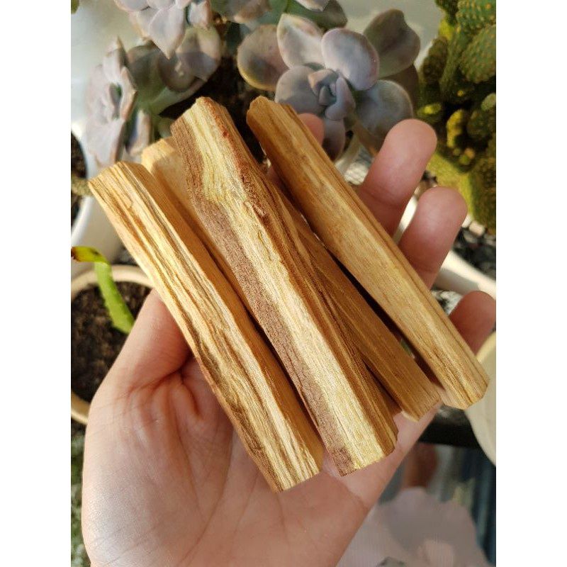 Gỗ thánh Palo Santo dùng trong thanh tẩy không gian, bài Tarot, thiền định, xông nhà