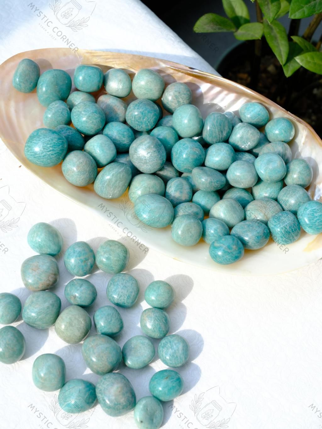 Tumbled viên đá Amazonite (đá Thiên Hà) đá thanh tẩy Tarot, Reiki, thiền định, phong thủy