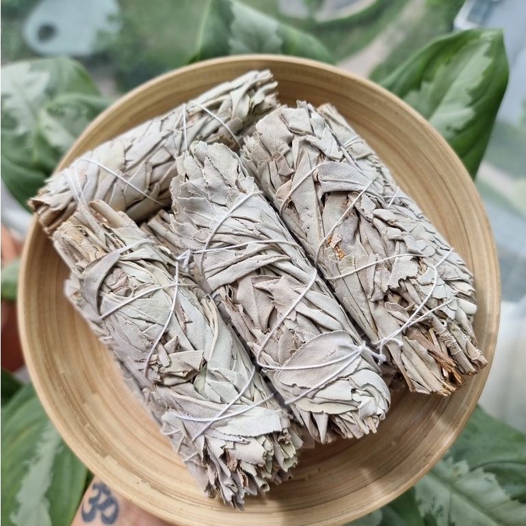 Xô thơm trắng (White Sage) thanh tẩy không gian, xông nhà, dùng trong phong thủy, bài Tarot, Reiki, healing, thiền định