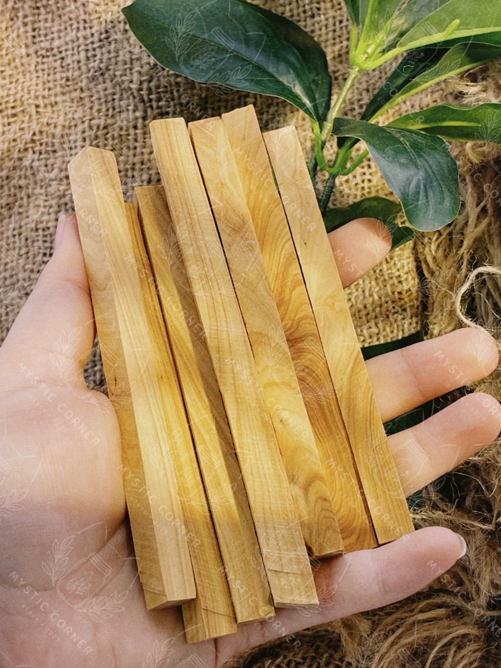 Gỗ đàn hương xông nhà Ấn Độ (Sandalwood) thanh tẩy không gian, xông nhà, bài tarot, reiki, healing,thiền định