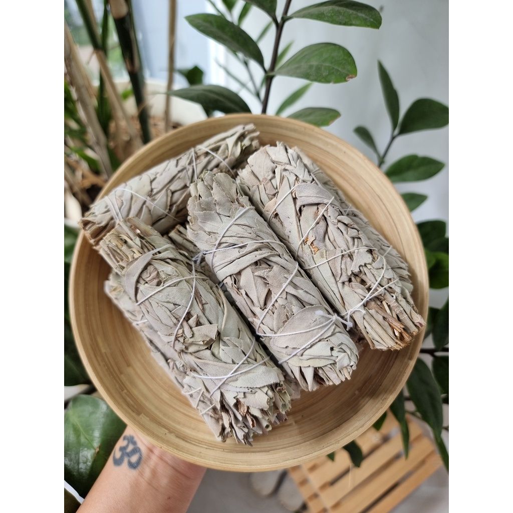 Xô thơm trắng (White Sage) thanh tẩy không gian, xông nhà, dùng trong phong thủy, bài Tarot, Reiki, healing, thiền định