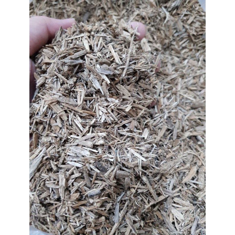 Dăm trầm hương xông nhà, thanh tẩy