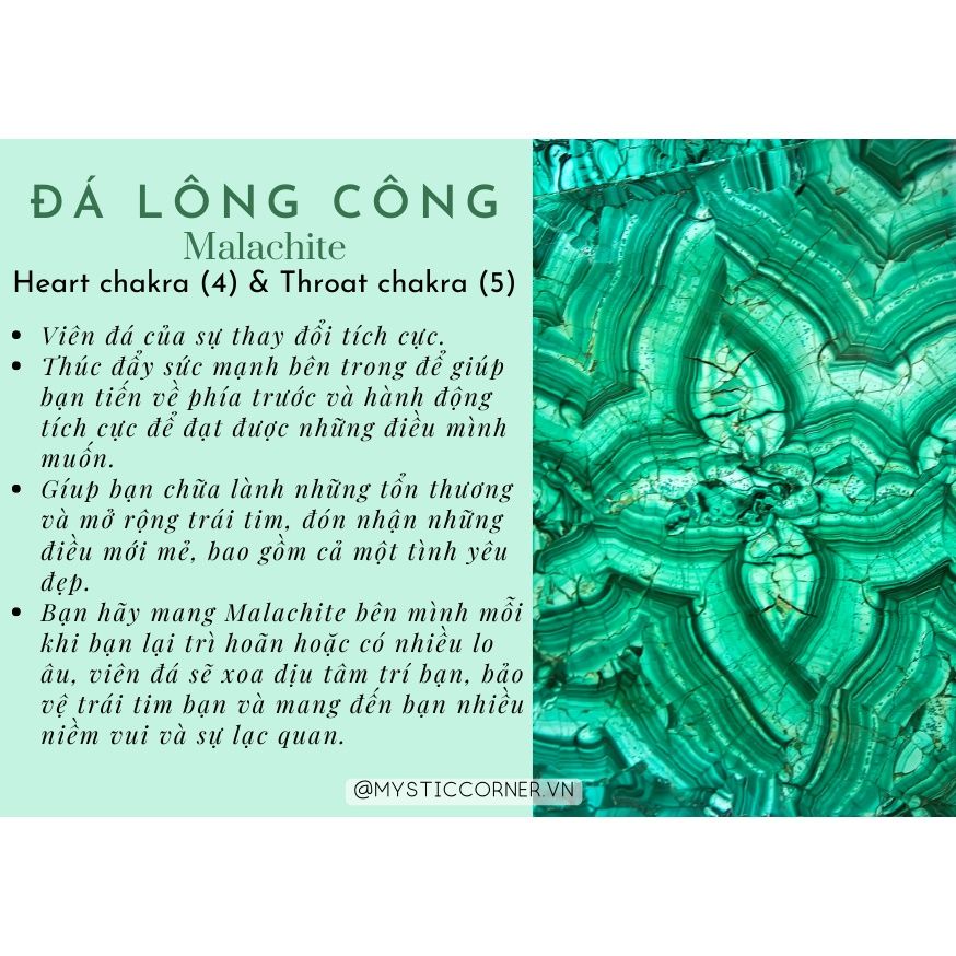 Viên đá thanh tẩy Malachite Tumbled (Đá Lông Công) tự nhiên dùng trong Tarot, Reiki, đá phong thủy