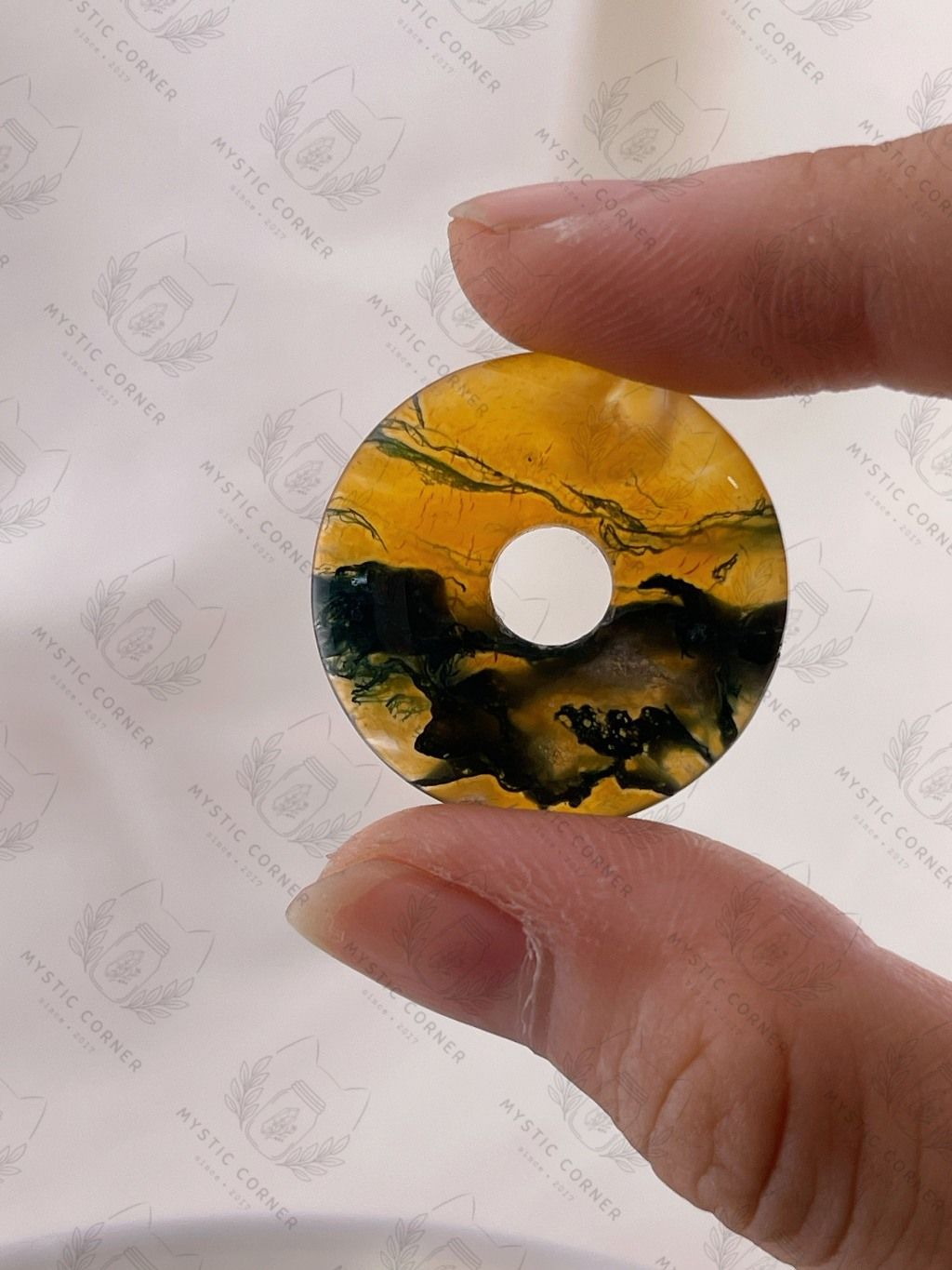 Đồng điếu đá phong thủy mã não Moss Agate (Băng Ngọc Thủy Tảo)