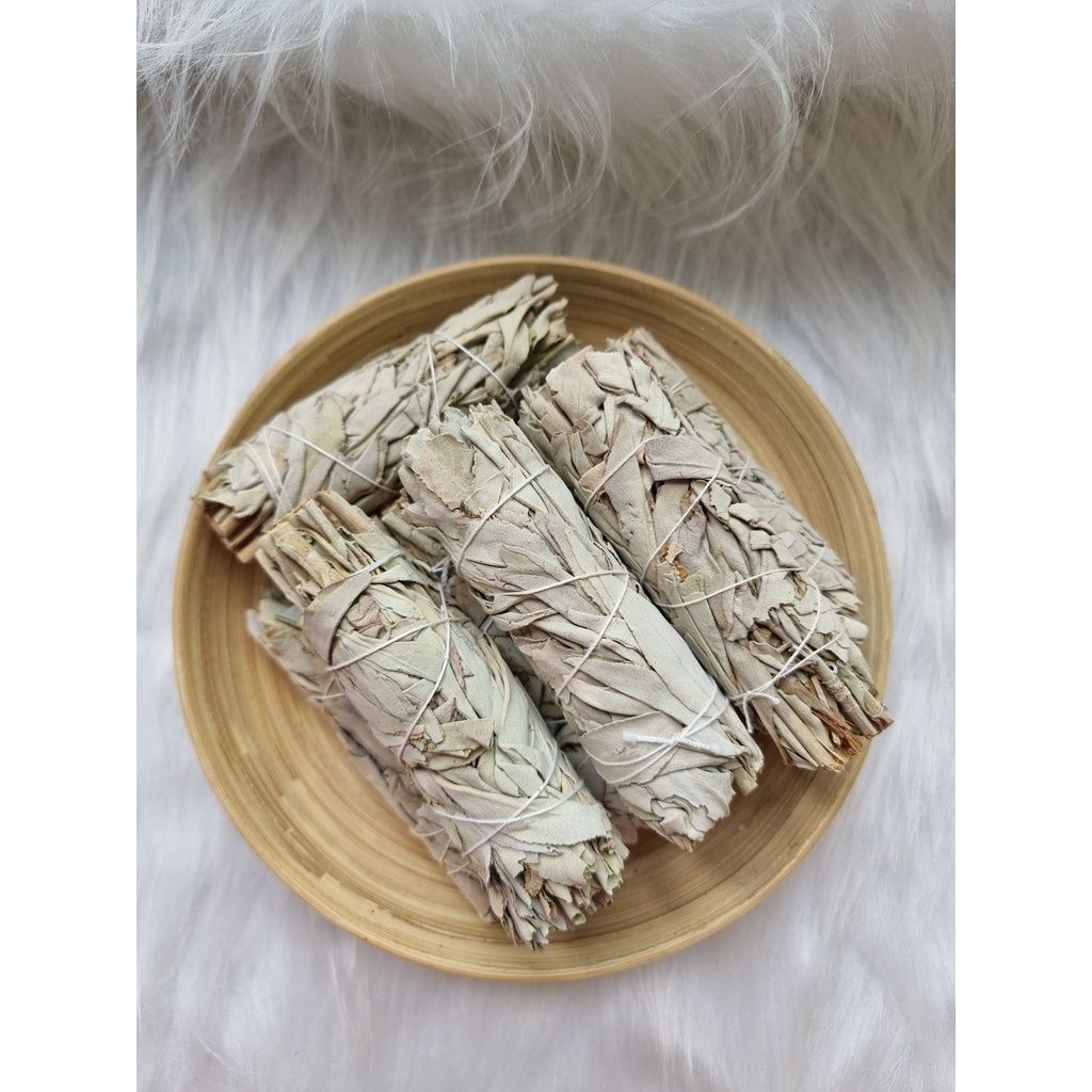 Xô thơm trắng (White Sage) thanh tẩy không gian, xông nhà, dùng trong phong thủy, bài Tarot, Reiki, healing, thiền định