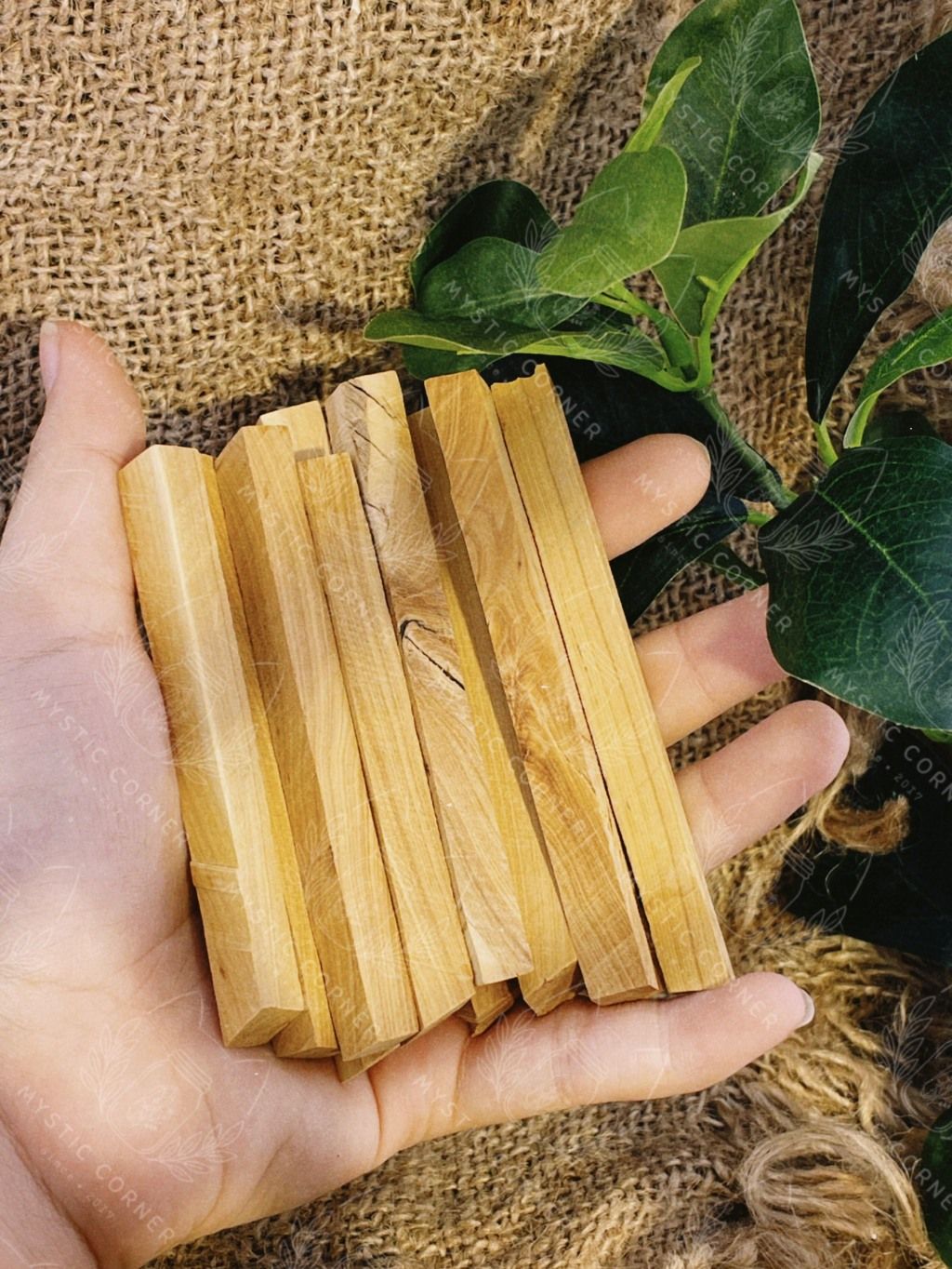 Gỗ đàn hương xông nhà Ấn Độ (Sandalwood) thanh tẩy không gian, xông nhà, bài tarot, reiki, healing,thiền định