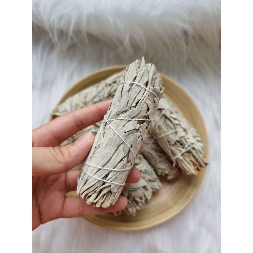Xô thơm trắng (White Sage) thanh tẩy không gian, xông nhà, dùng trong phong thủy, bài Tarot, Reiki, healing, thiền định