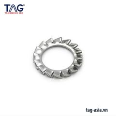 Long Đền Gai/ Serrated Washers