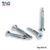 Vít Cánh/ Self Drilling Screws