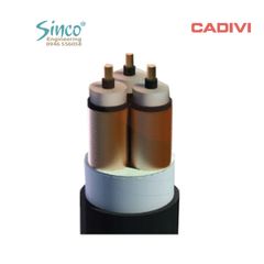 Cáp trung thế CXV/SE -12/20(24) kV 3 lõi