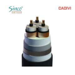 Cáp trung thế CXV/SE/SWA - 12/20(24) kV 3 lõi