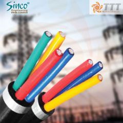 Cáp hạ thế 1,2,3,4 lõi nhôm, cách điện PVC - AVV 0.6/1KV