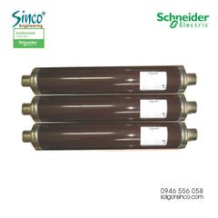 Cầu chì (chì ống) - Schneider electric