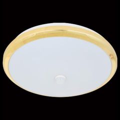 Đèn mâm ốp trần tròn siêu sáng Ø300*H45-LED 24W - 6000K - ABS MSS-693