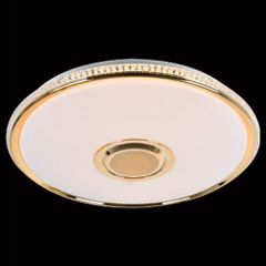 Đèn mâm ốp trần tròn siêu sáng Ø400*H50-LED 30W*2 MSS-663