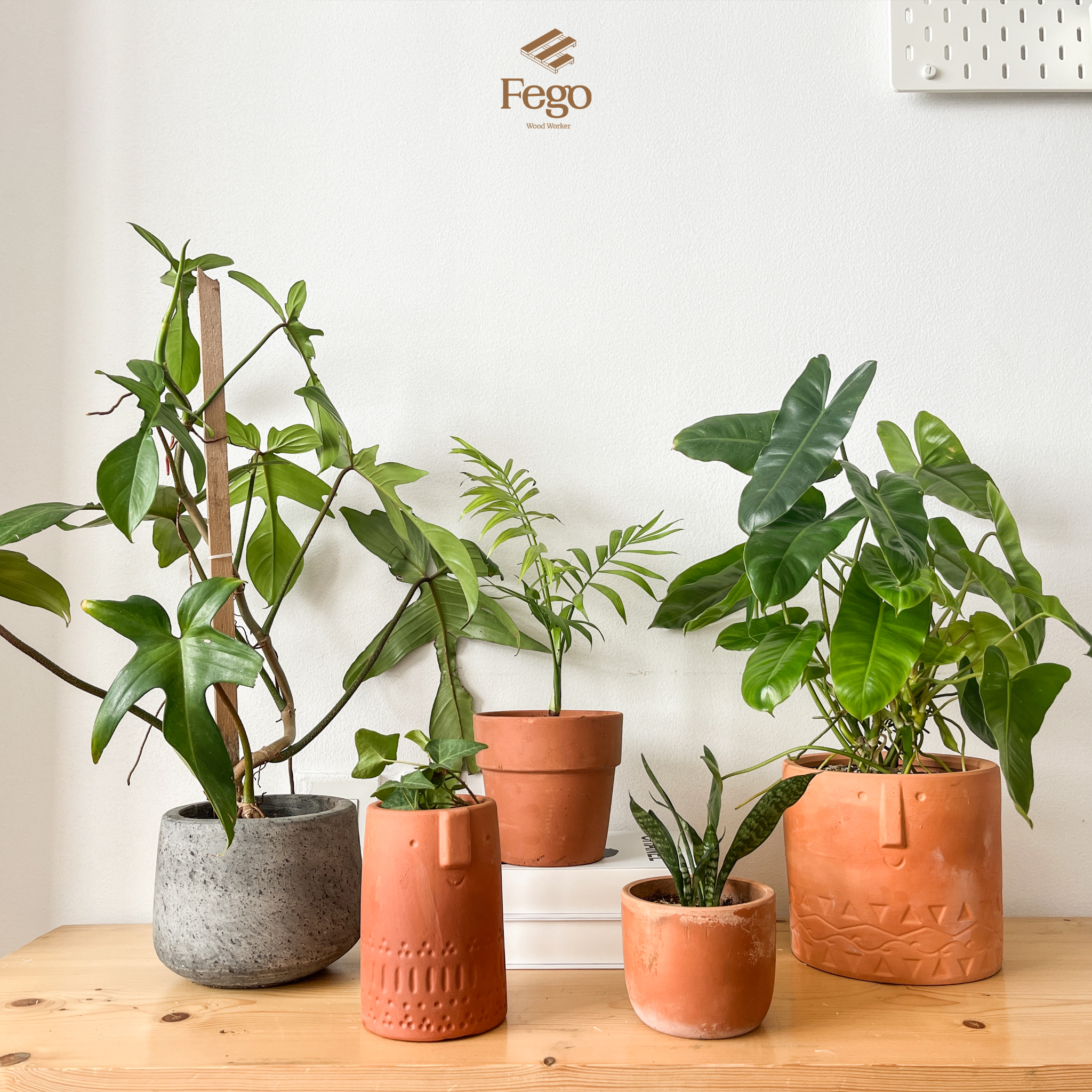 Chậu cây đất nung để bàn nhiều kiểu dáng