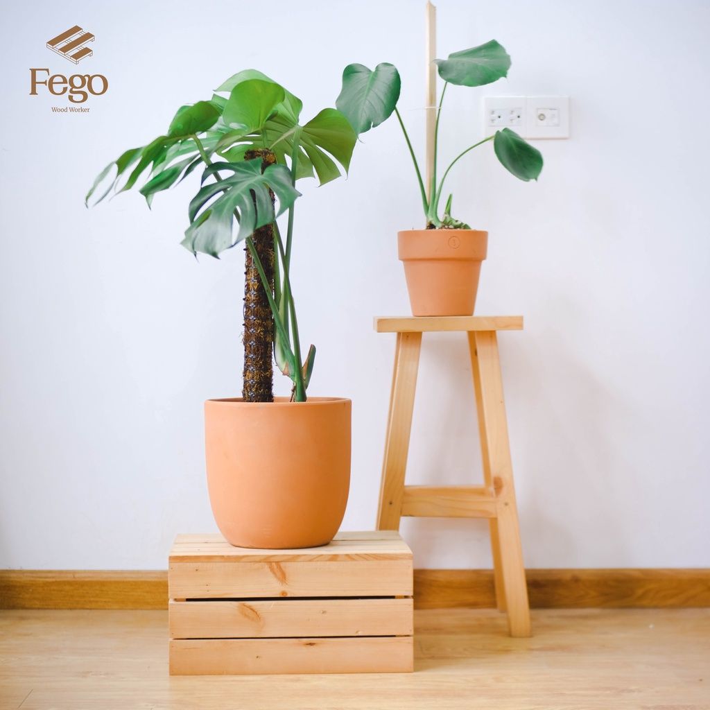 Chậu cây đất nung để bàn nhiều kiểu dáng