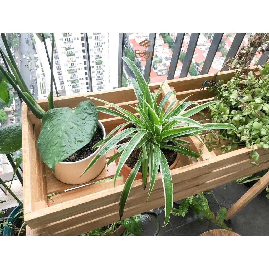 Kệ đựng cây cảnh ngoài trời gỗ thông tự nhiên FEGO decor, trang trí ban công