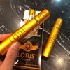 Cigar Lotus N06