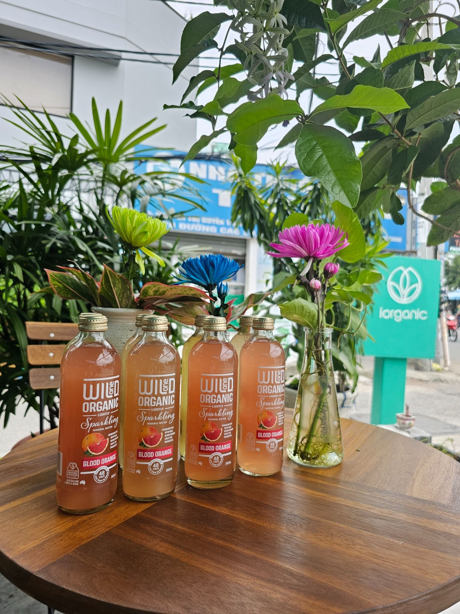 COMBO 3 CHAI WILD ONE BEVERAGES