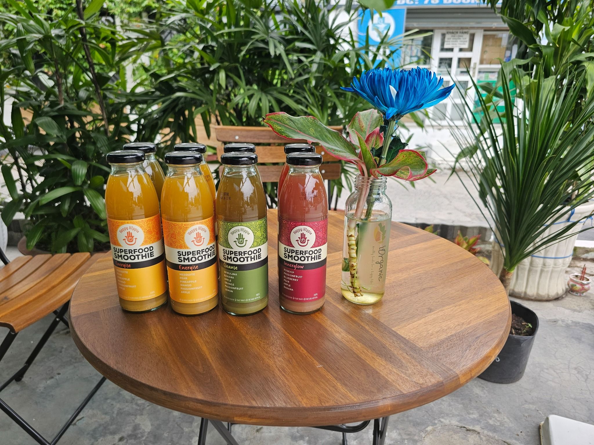 COMBO 3 CHAI WILD ONE BEVERAGES