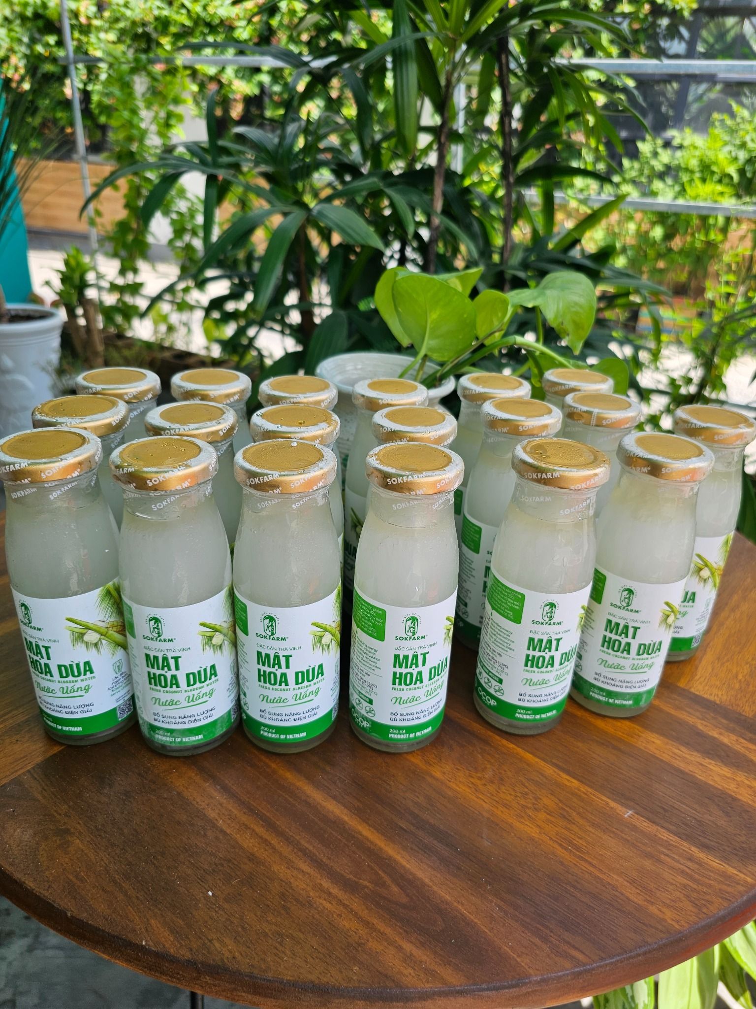 COMBO SOKFARM