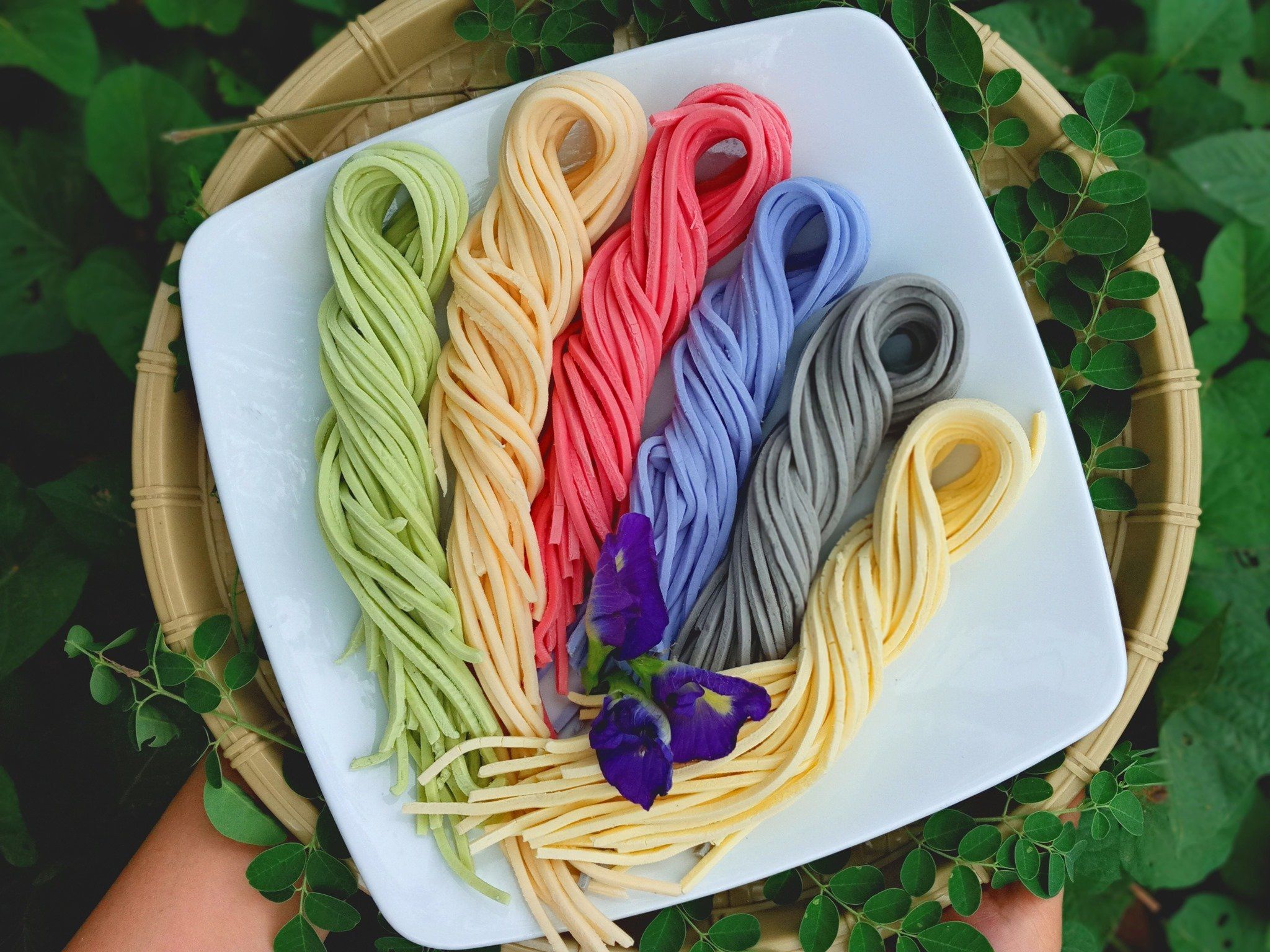 Bánh canh củ dền VIDATA