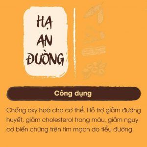 Hạ An Đường