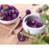 Hoa cúc bách nhật HOA CÚC BÁCH NHẬT