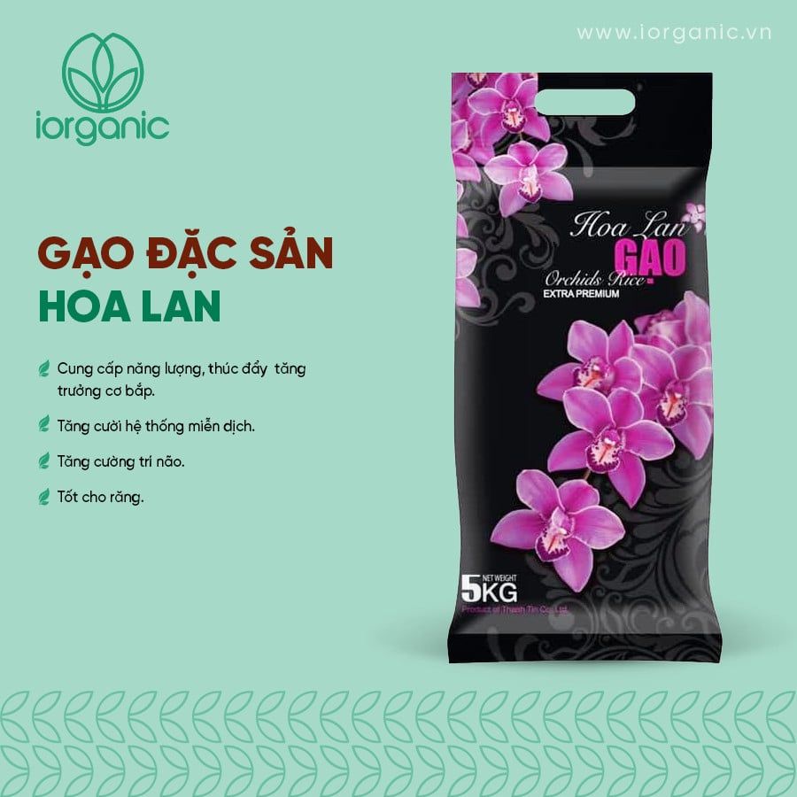 Gạo đặc sản Hoa Lan túi 5kg