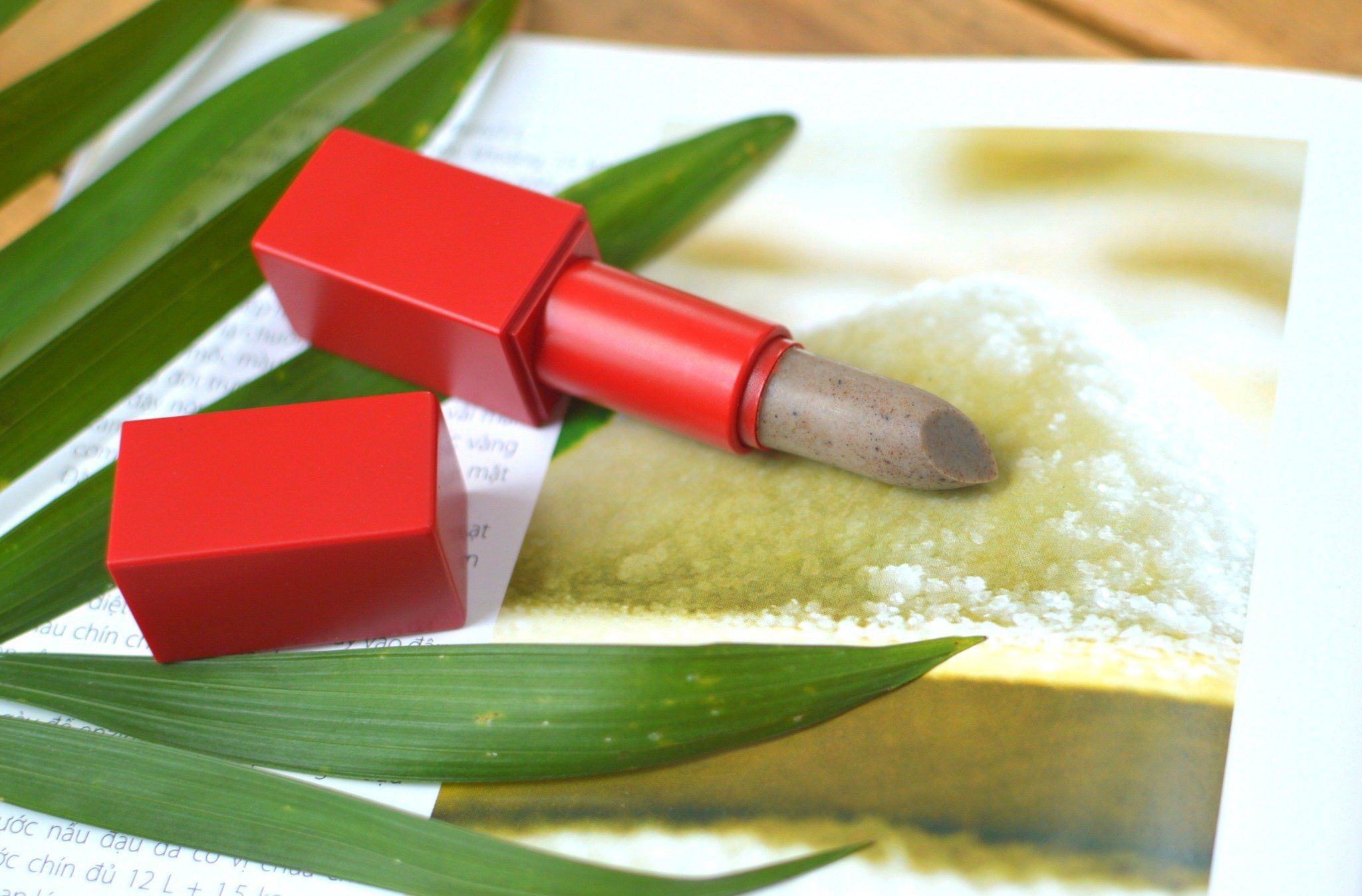 LIP SCRUB / SON TẨY TẾ BÀO CHẾT