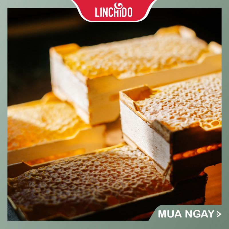 MẬT ONG PHƯỚC HỶ- Hoa Rừng Nguyên Chất Tây Nguyên – CHAI 100 ML