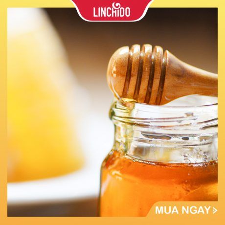 MẬT ONG PHƯỚC HỶ- Hoa Rừng Nguyên Chất Tây Nguyên – CHAI 500 ML