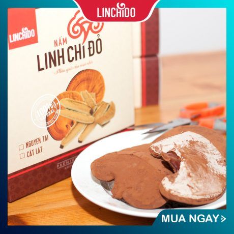 Nấm Linh Chi ( Nguyên tai ) 250gam