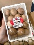 NẤM MỠ NÂU YOSHIMOTO (200GR)