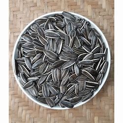 Hạt hướng dương túi 100gr